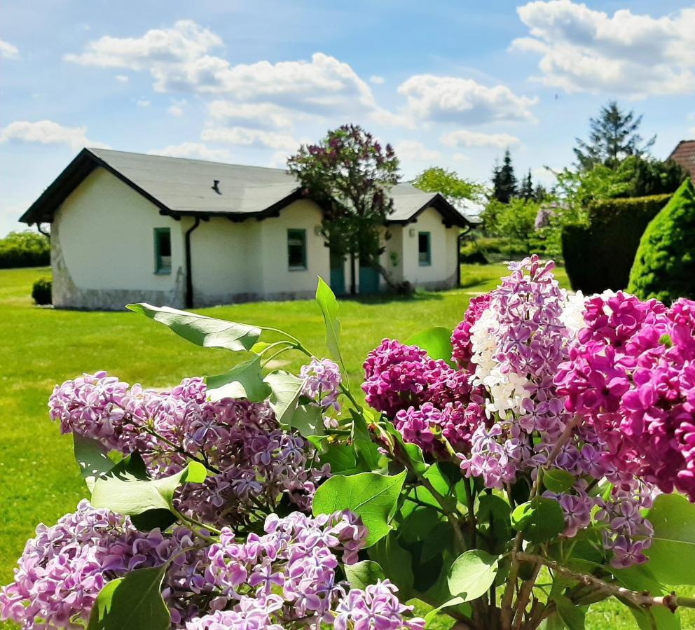 Pension Landhaus Teichgraf Wolgast Kültér fotó
